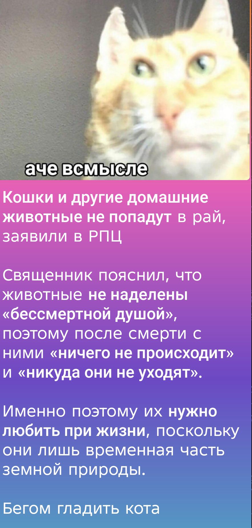 а че всмысле
Кошки и другие домашние животные не попадают в рай, заявили в РПЦ
Священник пояснил, что животные не наделены «бессмертной душой», поэтому после смерти с ними «ничего не происходит» и «никуда они не уходят».
Именно поэтому их нужно любить при жизни, поскольку они лишь временная часть земной природы.
Бегом гладить кота