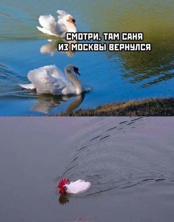 Смотри, там Саня из Москвы вернулся