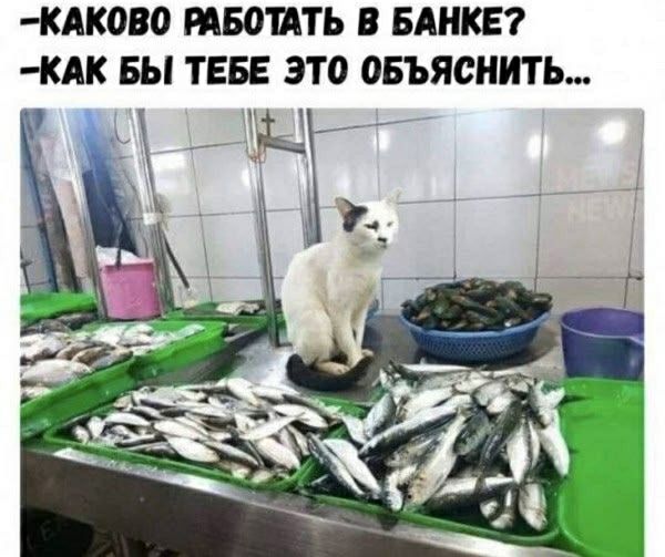 —Каково работать в банке? — Как бы тебе это объяснить...