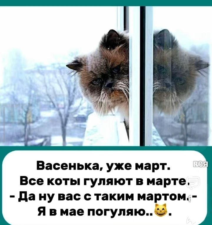 Васенька, уже март. Все коты гуляют в марте. - Да ну вас с таким мартом, - Я в мае погуляю..