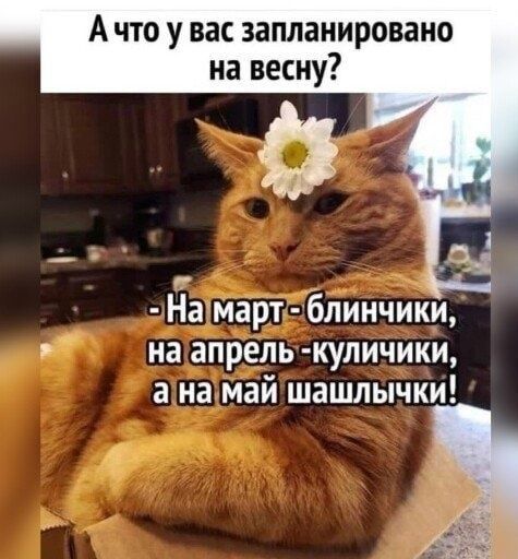 А что у вас запланировано на весну?
- На март - блинчики, на апрель - куличики, а на май шашлычки!