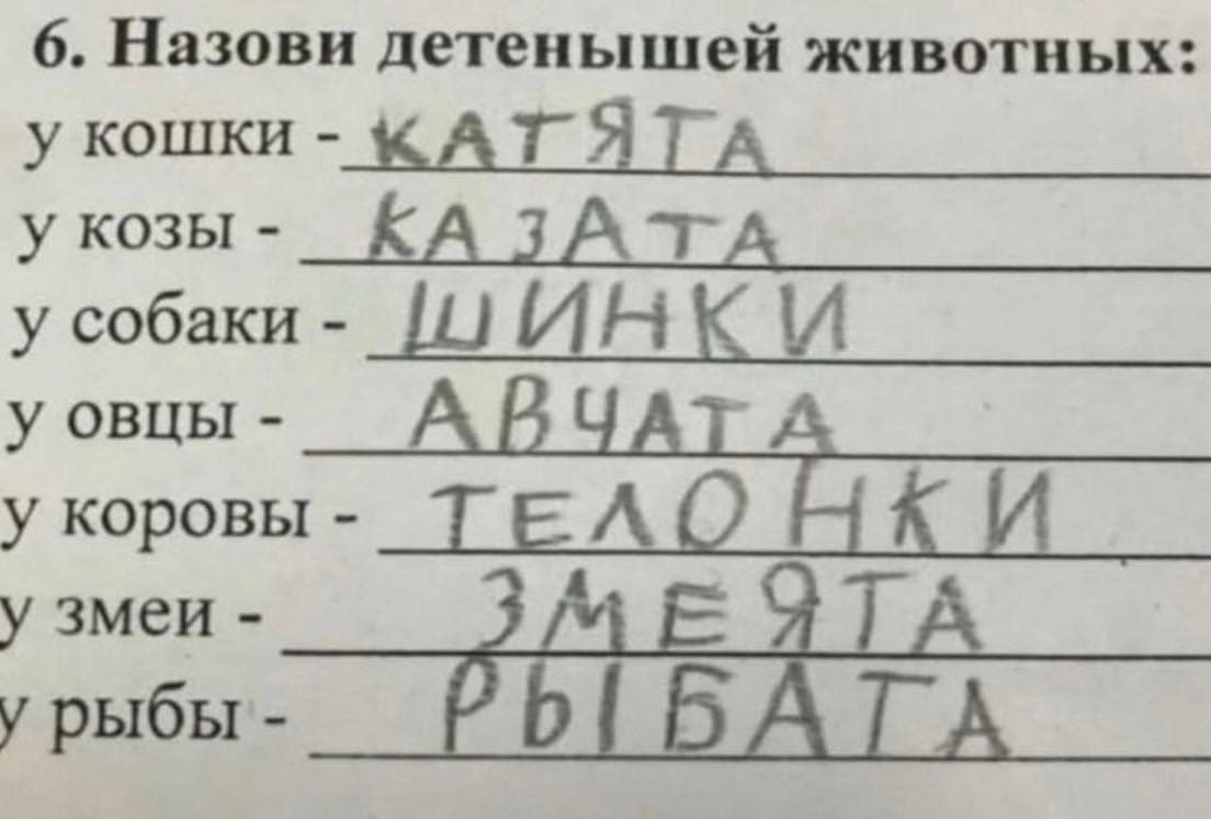 у кошки - котята; у козы - козлята; у собаки - щенки; у овцы - ягнята; у коровы - телята; у змеи - змеята; у рыбы - рыбята