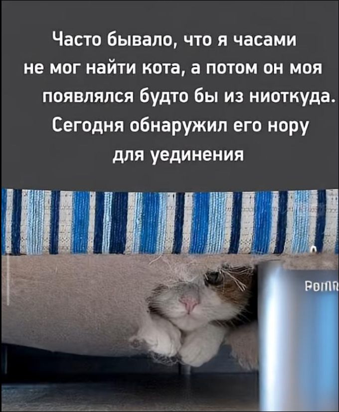 Часто бывало, что я часами не мог найти кота, а потом он мой появился будто бы из ниоткуда. Сегодня обнаружил его нору для уединения