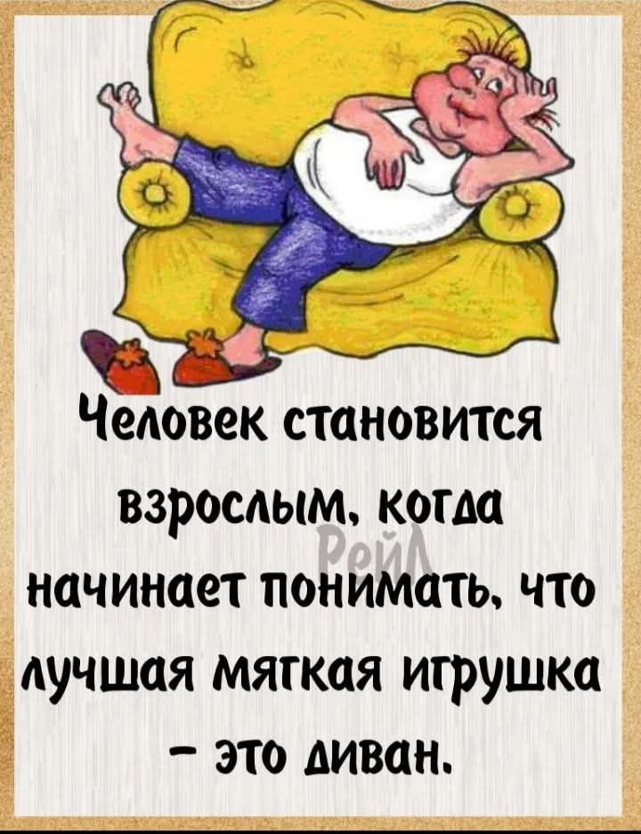 Человек становится взрослым, когда начинает понимать, что лучшая мятая игрушка - это диван.
