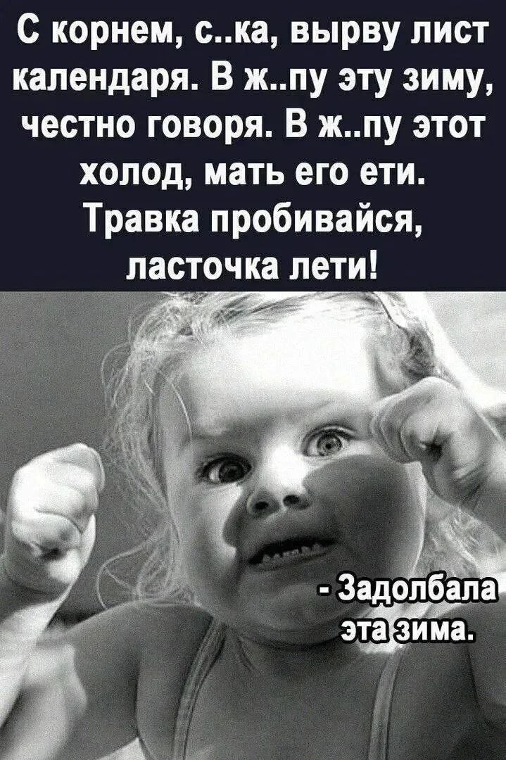 С корнем, с..ка, выруву лист календаря. В ж..пу эту зиму, честно говоря. В ж..пу этот холод, мать его еды. Травка пробивайся, ласточка лети! - Задолбала эта зима.