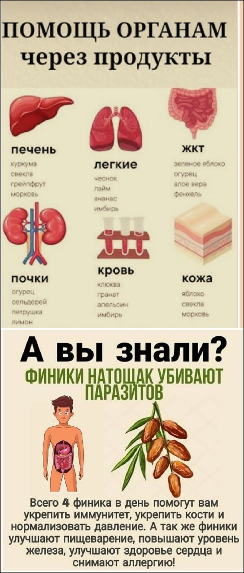 помощь органам через продукты
печень: куркума свёкла грейпфрут морковь
лёгкие: чеснок лайм ананас имбирь
жкт: зеленое яблоко огурец алое вера фенхель
почки: огурец сельдерей петрушка лимон
кровь: клюква гранат апельсин имбирь
кожа: яблоко свёкла морковь
А вы знали? ФИНИКИ НАТощак УБИВАЮТ ПАРАЗИТОВ
Всего 4 финика в день помогут вам укрепить иммуните