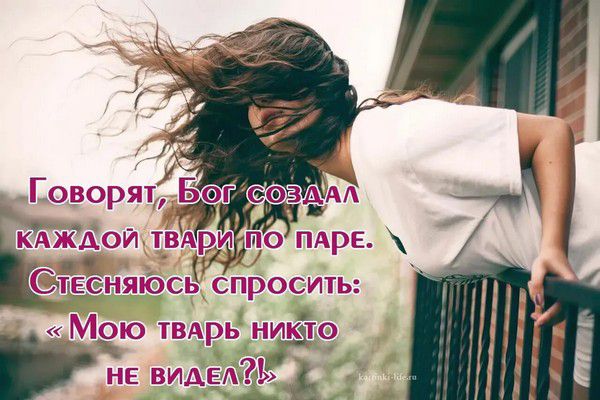 Говорят, Бог создал каждой твари по паре. Стесняюсь спросить: «Мою тварь никто не видел?!»