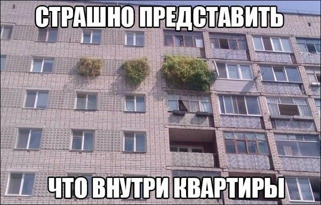 СТРАШНО ПРЕДСТАВИТЬ
ЧТО ВНУТРИ КВАРТИРЫ