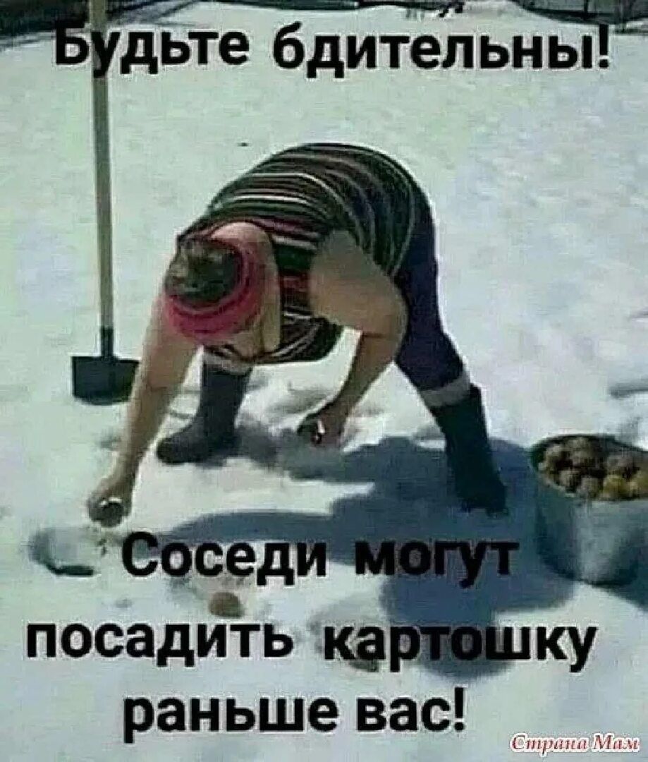 Будьте бдительны!
Соседи могут посадить картошку раньше вас!