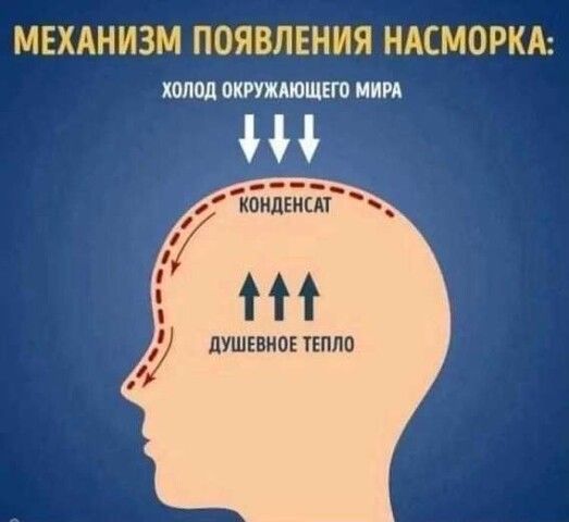 МЕХАНИЗМ ПОЯВЛЕНИЯ НАСМОРКА:
ХОЛОД ОКРУЖАЮЩЕГО МИРА
КОНДЕНСАТ
ДУШЕВНОЕ ТЕПЛО