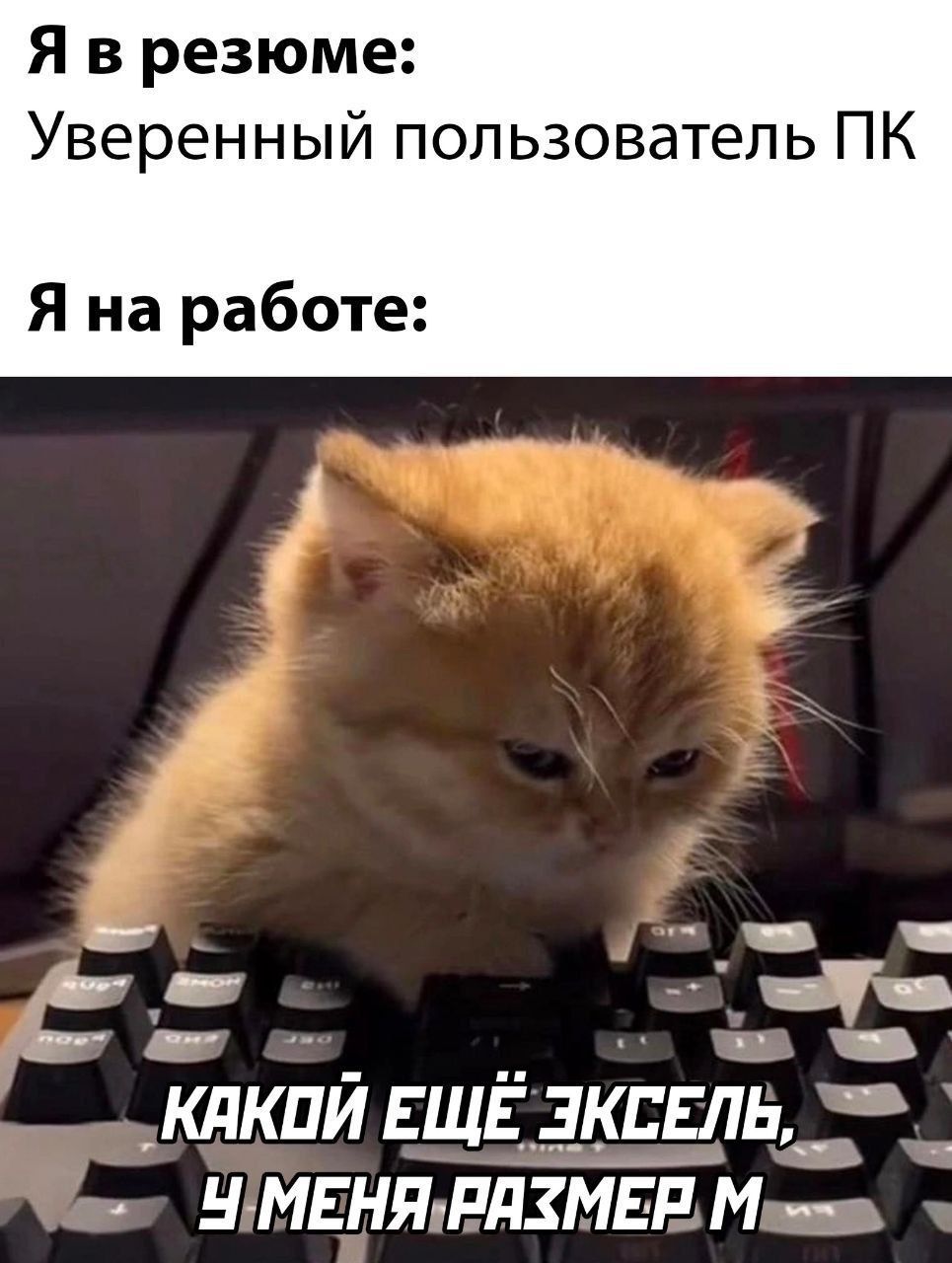 Я в резюме: Уверенный пользователь ПК Я на работе: КАКОЙ ЕЩЁ ЭКСЕЛЬ, У МЕНЯ РАЗМЕР M