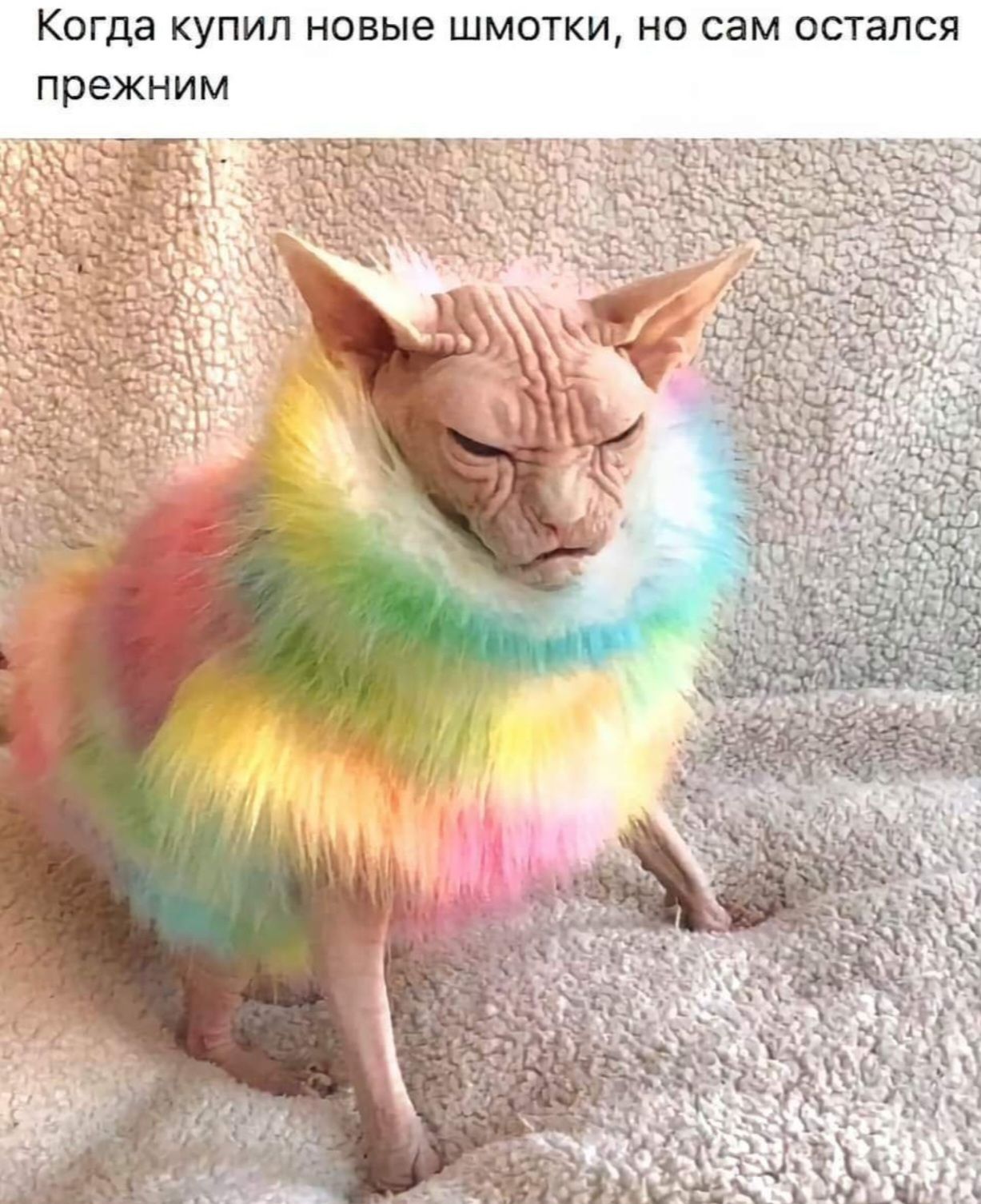 Когда купил новые шмоты, но сам остался прежним
