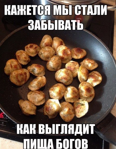 КАЖЕТСЯ МЫ СТАЛИ ЗАБЫВАТЬ\nКАК ВЫГЛЛЯДИТ ПИЩА БОГОВ