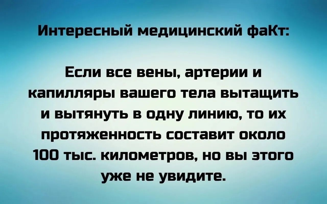 Интересный медицинский факт: Если все вены, артерии и капилляры вашего тела вытащить и вытянуть в одну линию, то их протяженность составит около 100 тыс. километров, но вы этого уже не увидите.