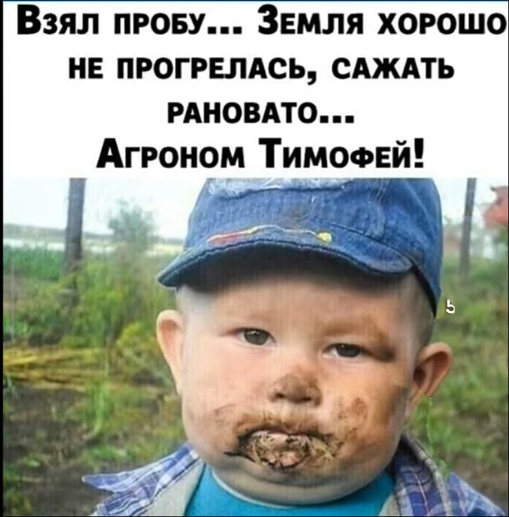 Взял пробу... Земля хорошо не прогрелась, сажать рановато... Агрон Тимофей!