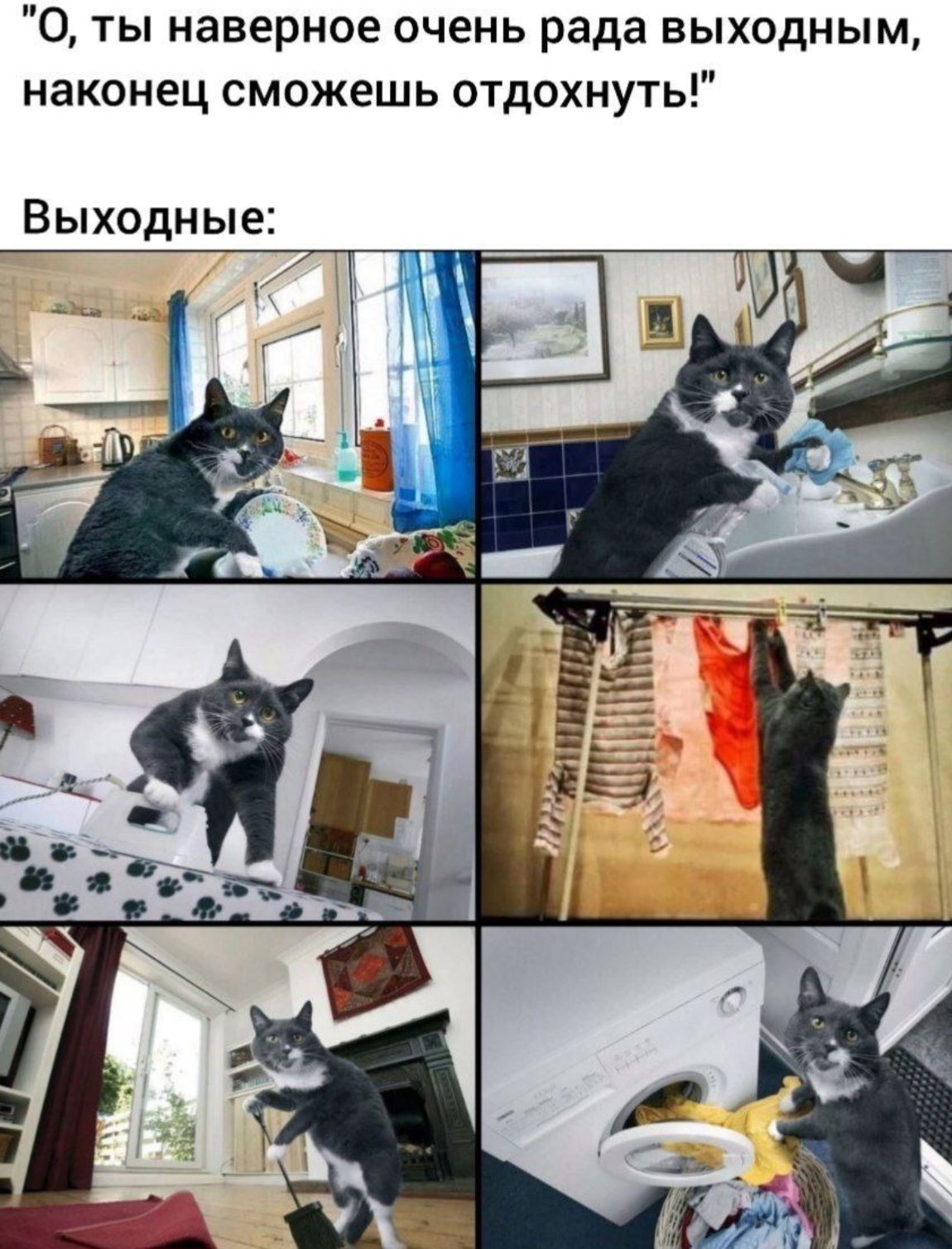 О, ты наверное очень рада выходным, наконец сможешь отдохнуть! Выходные: