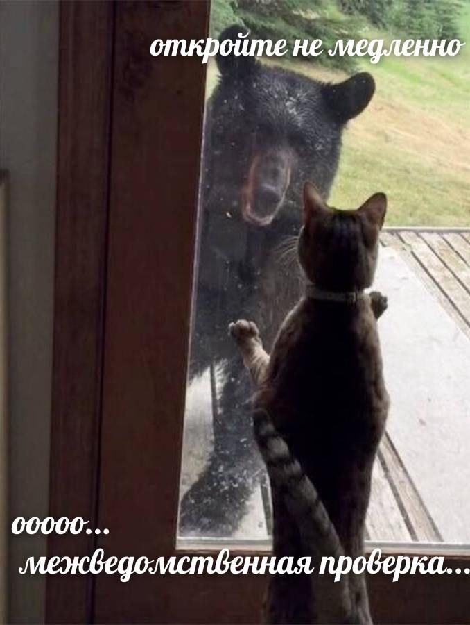 откройте не медленно
0000... межведомственная проверка...