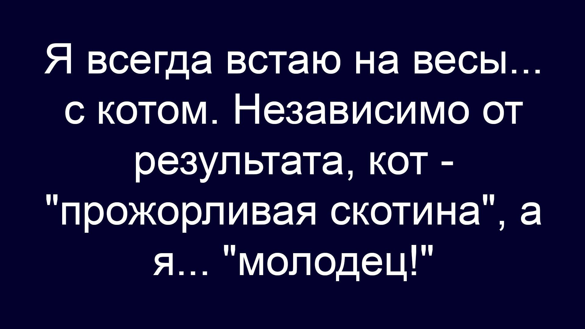 Я всегда встаю на весы... с котом. Независимо от результата, кот - 