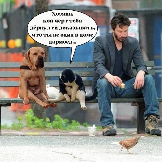 Хозяин, кой чёрт тебя дёрнул ей доказывать, что ты не один в доме дармоед...
