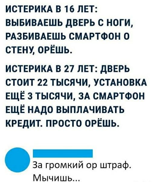 ИСТЕРИКА В 16 ЛЕТ: ВЫБИВАЕШЬ ДВЕРЬ С НОГИ, РАЗБИВАЕШЬ СМАРТФОН О СТЕНУ, ОРЁШЬ. ИСТЕРИКА В 27 ЛЕТ: ДВЕРЬ СТОИТ 22 ТЫСЯЧИ, УСТАНОВКА ЕЩЕ 3 ТЫСЯЧИ, ЗА СМАРТФОН ЕЩЁ НАДО ВЫПЛАЧИВАТЬ КРЕДИТ. ПРОСТО ОРЁШЬ. За громкий ор штраф. Мычишь...