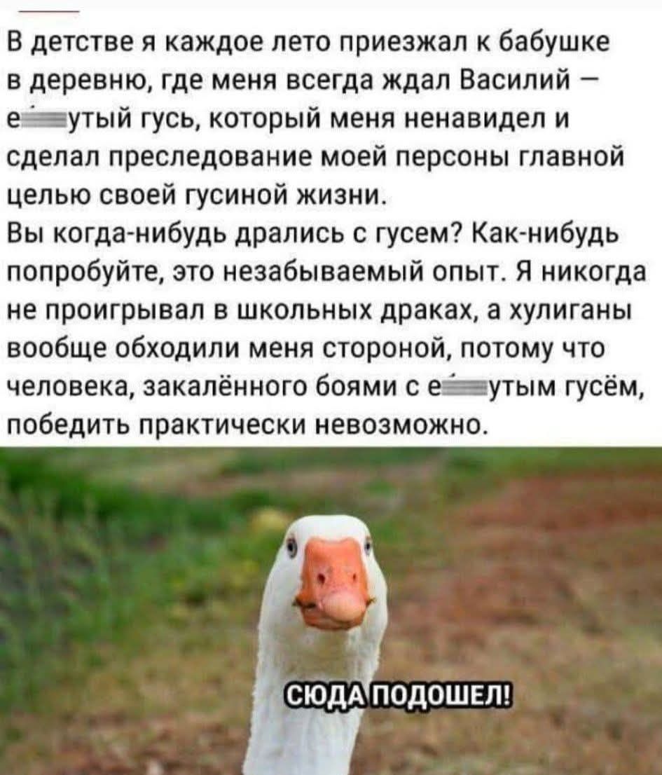 В детстве я каждое лето приезжал к бабушке в деревню, где меня всегда ждал Василий — е...ый гусь, который меня ненавидел и сделал преследование моей персоны главной целью своей гусиной жизни. Вы когда-нибудь дрались с гусями? Как-нибудь попробуйте, это незабываемый опыт. Я никогда не проигрывал в школьных драках, а хулиганы вообще обходили меня сто