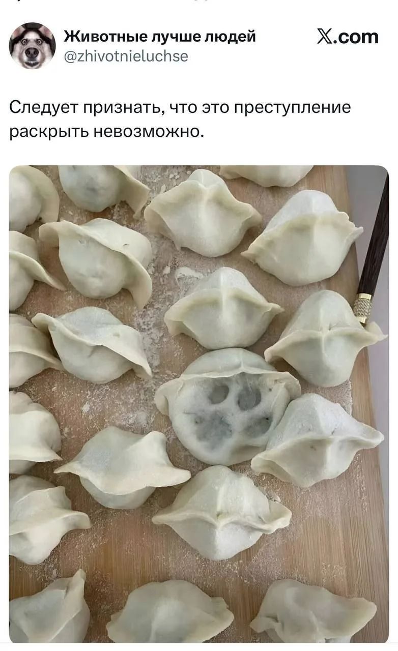 Животные лучше людей
@zhivotnieluchse
X.com
Следует признать, что это преступление раскрыть невозможно.