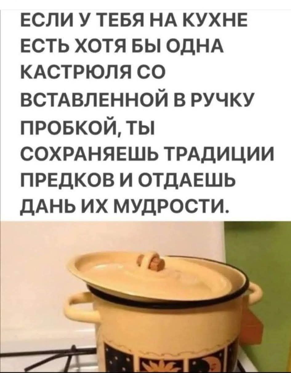 ЕСЛИ У ТЕБЯ НА КУХНЕ ЕСТЬ ХОТЬ БЫ ОДНА КАСТРЮЛЯ СО ВСТАВЛЕННОЙ В РУЧКУ ПРОБКОЙ, ТЫ СОХРАНЯЕШЬ ТРАДИЦИИ ПРЕДКОВ И ОТДАЕШЬ ДАНЬ ИХ МУДРОСТИ.