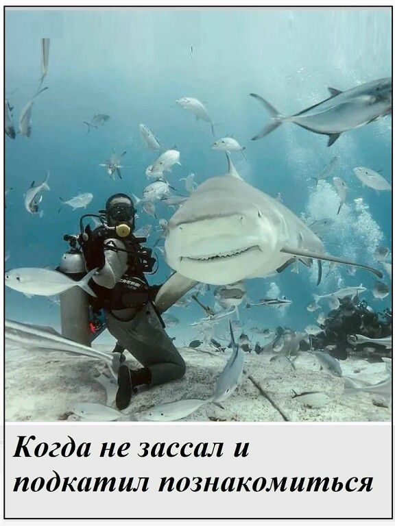 Когда не заассал и подкатил познакомиться