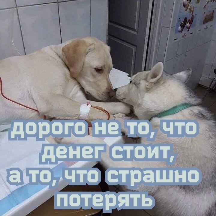 дорого не то, что денег стоит, а то, что страшно потерять