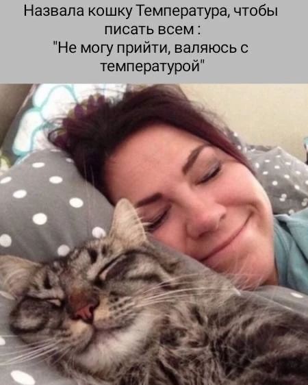 Назвала кошку Температура, чтобы писать всем : 