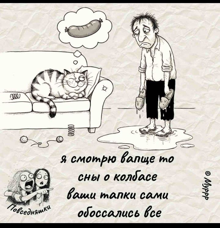 Я смотрю ваще тоны о колбасе ваши тапки сами обоссались все