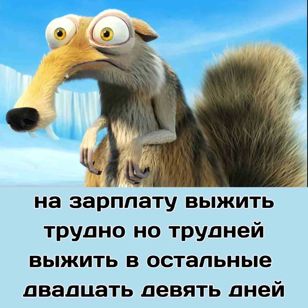 на зарплату выжить трудно но трудней выжить в остальние двадцать девять дней
