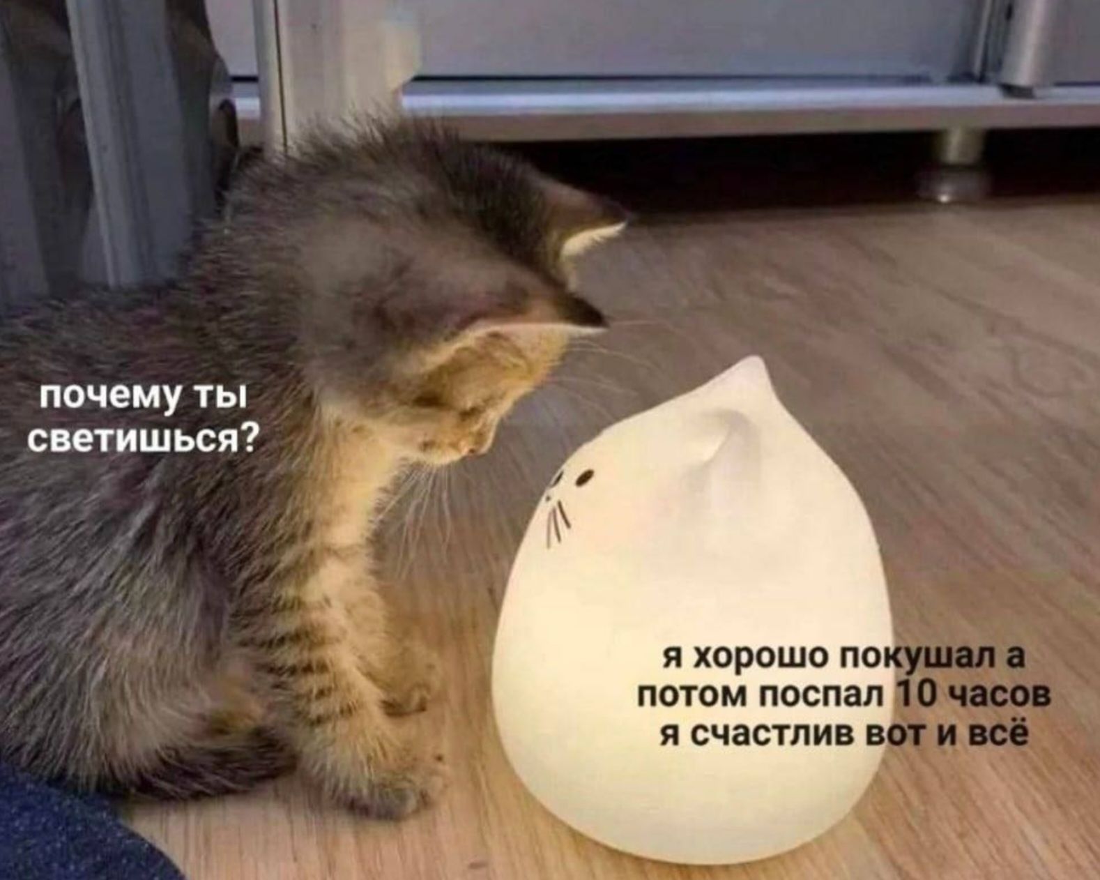 почему ты светишься? я хорошо покушал а потом поспал 10 часов я счастлив вот и всё