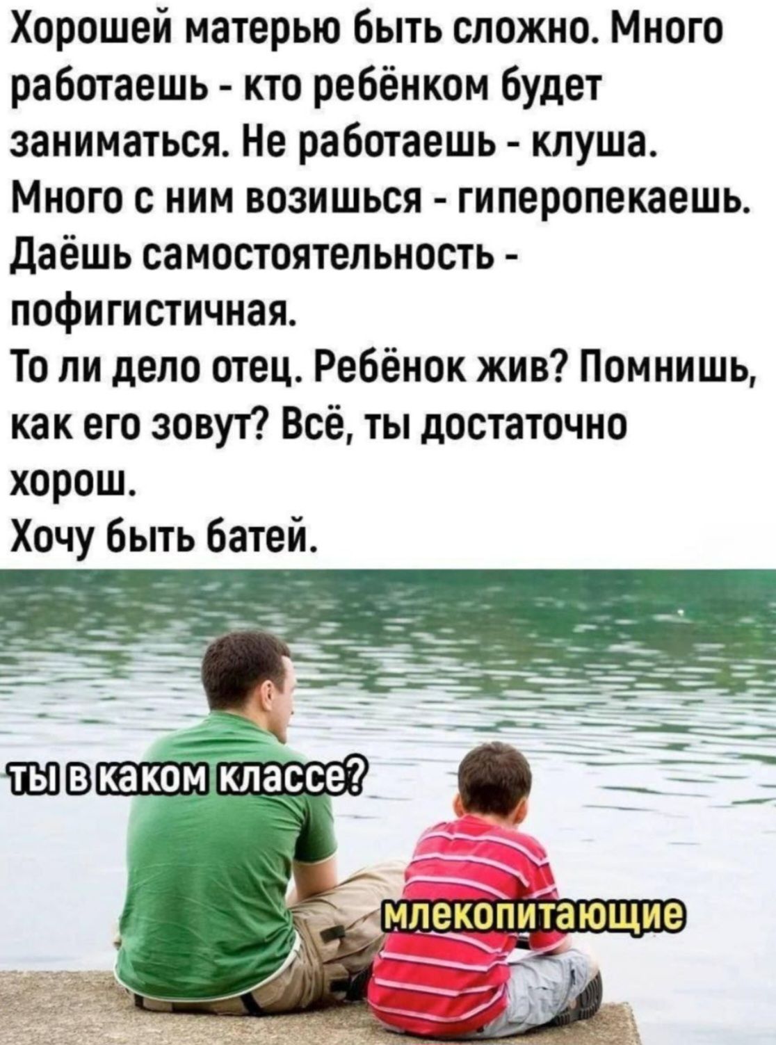 Хорошей матерью быть сложно. Много
работаешь - кто ребёнком будет
заниматься. Не работаешь - клуша.
Много с ним возишься - гиперопекаешь.
Даёшь самостоятельность - пофигистическая.
То ли дело отец. Ребёнок жив? Помнишь, как его зовут? Всё, ты достаточно
хорош.
Хочу быть батей.

ТЫ в каком классе?
млекопитающие