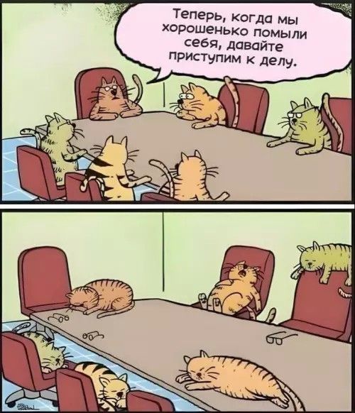 Теперь, когда мы хорошенько помыли себя, давайте приступим к делу.