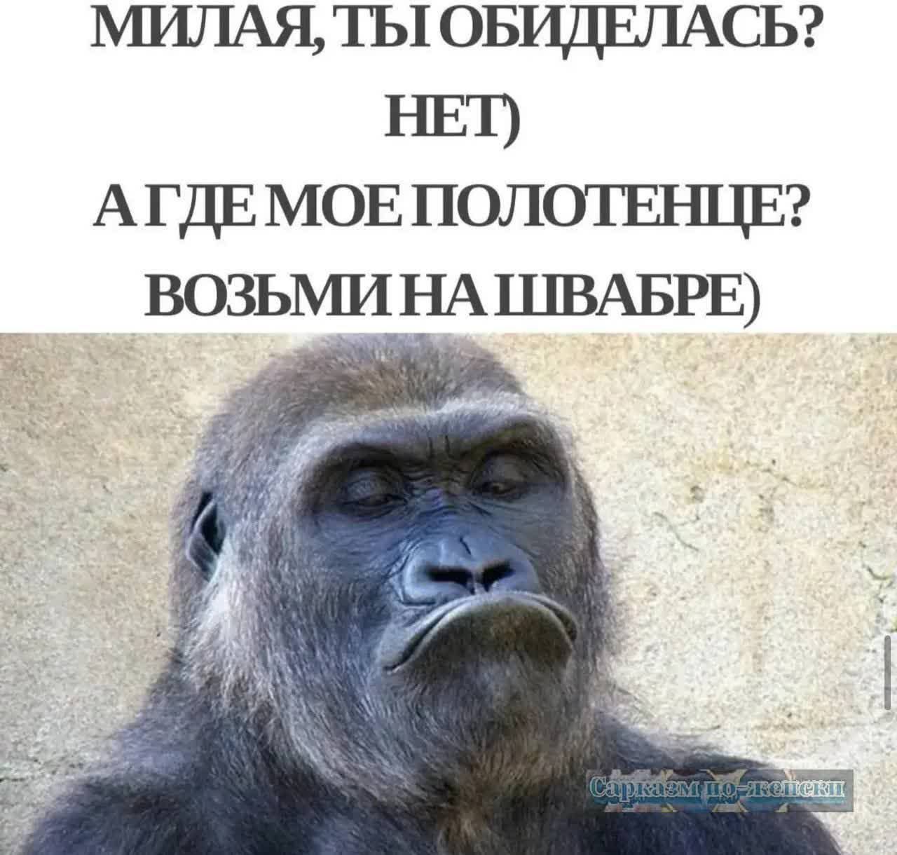МИЛАЯ, ТЫ ОБИДЕЛАСЬ? НЕТ) А ГДЕ МОЕ ПОЛОТЕНЦЕ? ВОЗЬМИ НА ШВАБРЕ)