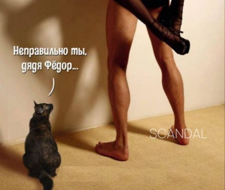 Неправильно ты, дядя Федор...