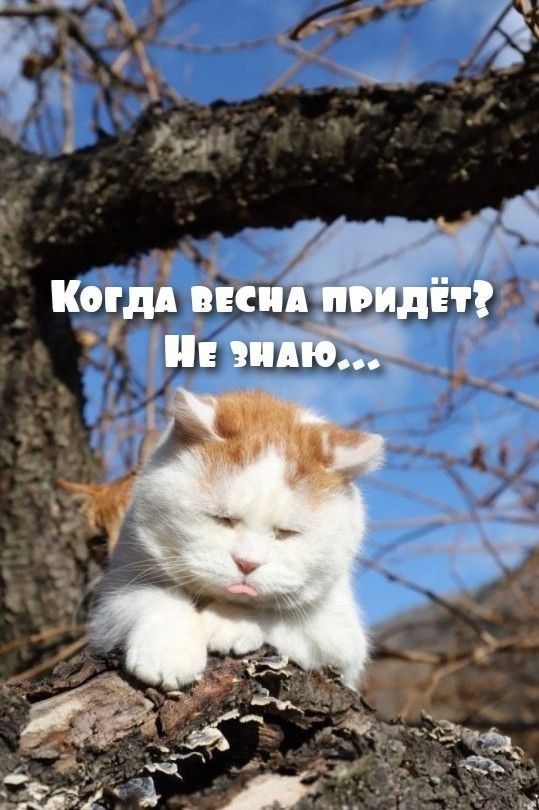 Когда весна придёт? Не знаю...