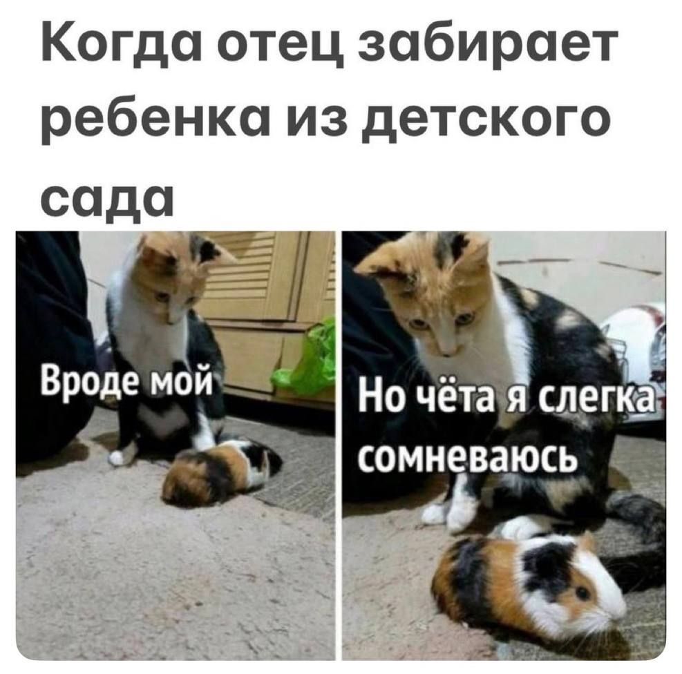 Когда отец забирает ребенка из детского сада
Вроде мой
Но чёта я слегка сомневаюсь