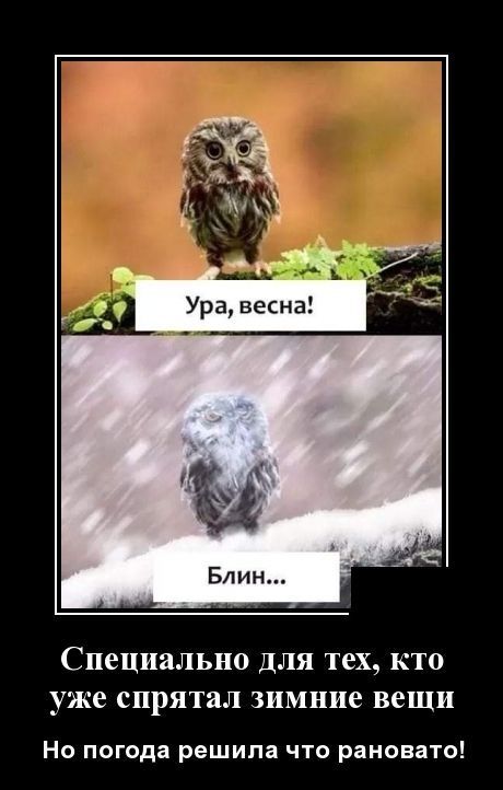 Ура, весна!
Блин...
Специально для тех, кто уже спрятал зимние вещи
Но погода решила что рановато!