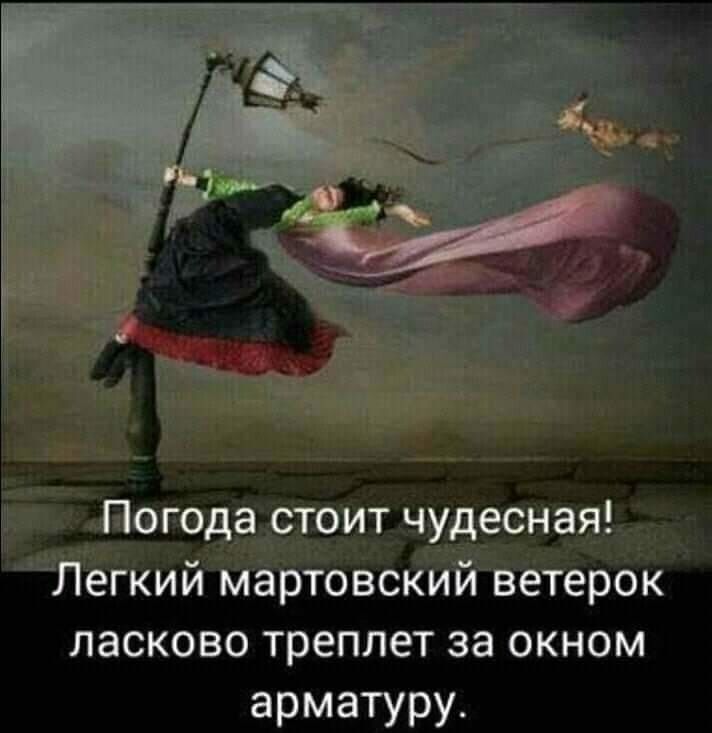 Погода стоит чудесная! Легкий мартовский ветерок ласково треплет за окном арматуру.