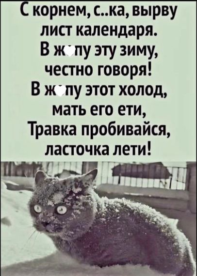 С корнем, сука, вырву лист календаря. В жопу эту зиму, честно говоря! В жопу этот холод, мать его ети, травка пробивайся, ласточка лети!