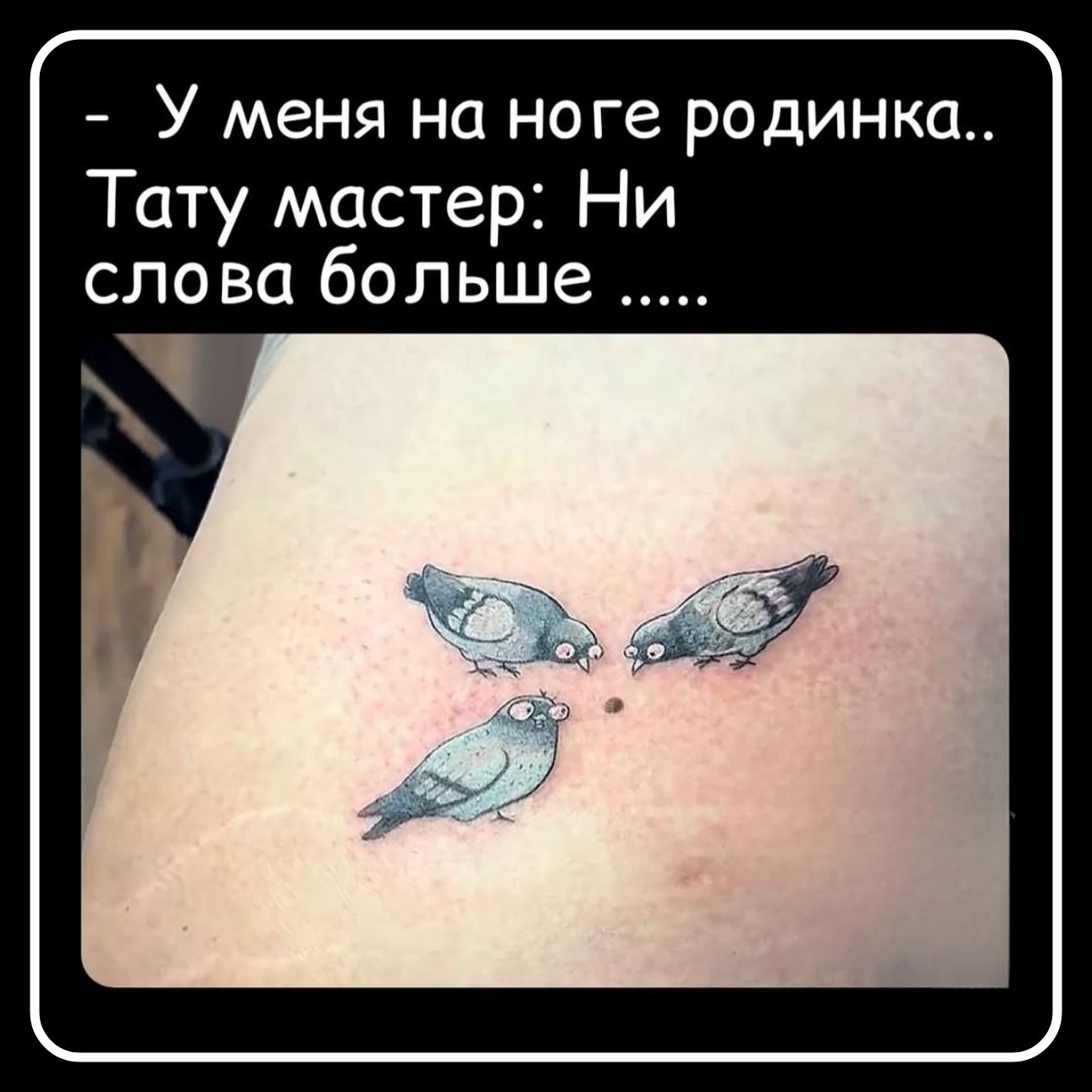 - У меня на ноге родинка.. Тату мастер: Ни слова больше .....