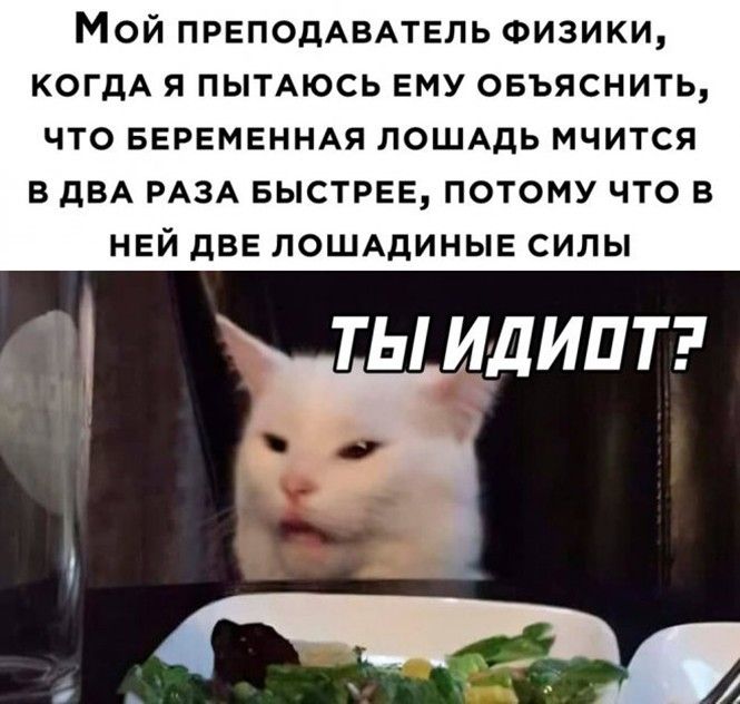 Мой преподаватель физики, когда я пытаюсь ему объяснить, что беременная лошадь мчится в два раза быстрее, потому что в ней две лошадиные силы
ТЫ ИДИОТ?