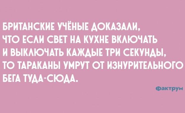 Британские учёные доказали, что если свет на кухне включать и выключать каждые три секунды, то тараканы умрут от изнурительного бега туда-сюда.
