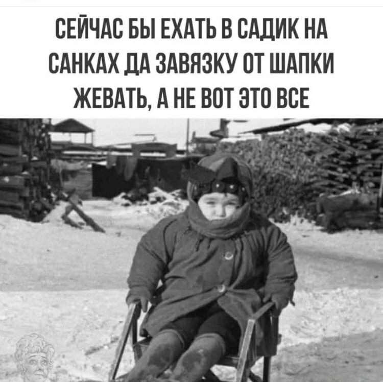 СЕЙЧАС БЫ ЕХАТЬ В САДИК НА САНКАХ ДА ЗАВЯЗКУ ОТ ШАПКИ ЖЕВАТЬ, А НЕ ВОТ ЭТО ВСЕ