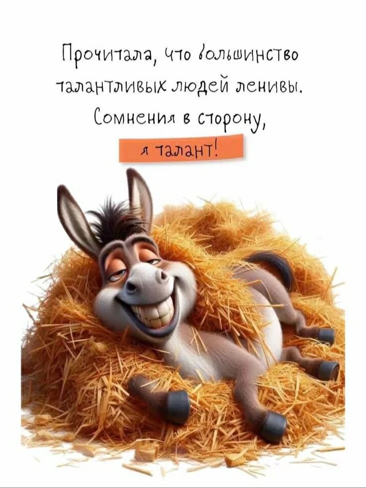 Прочитал(а), что большинство талантливых людей ленивы. Сомнения в сторону, я талант!