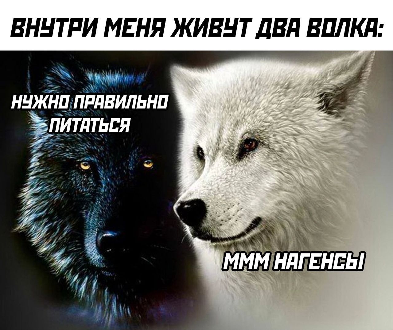 ВНУТРИ МЕНЯ ЖИВЕТ ДВА ВОЛКА: НУЖНО ПРАВИЛЬНО ПИТАТЬСЯ МММ НАГЕНСЫ