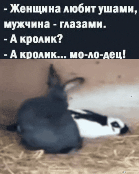 - Женщина любит ушами, мужчина - глазами. - А кролик? - А кролик... моло-дец!