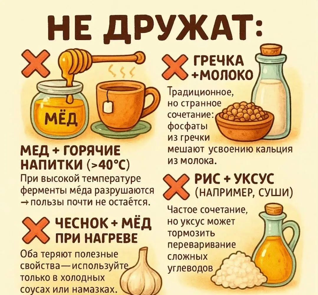 НЕ ДРУЖАТ:

МЕД + ГОРЯЧИЕ НАПИТКИ (>40°C)
При высокой температуре ферменты мёда разрушаются → польза почти не остаётся.

ЧЕСНОК + МЁД ПРИ НАГРЕВЕ
Оба теряют полезные свойства — используйте только в холодных соусах или намазках.

ГРЕЧКА + МОЛОКО
Традиционное, но странное сочетание: фосфаты из гречки мешают усвоению кальция из молока.

РИС + УКСУС (Н